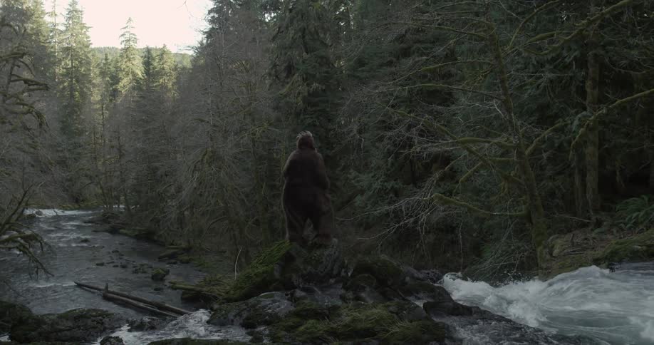 A man celebrates while standing on a rock in the middle of a river in the forest