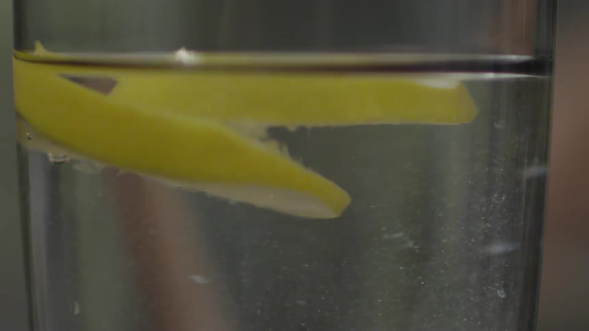 Lemon piece is being dropped into the a glass of water