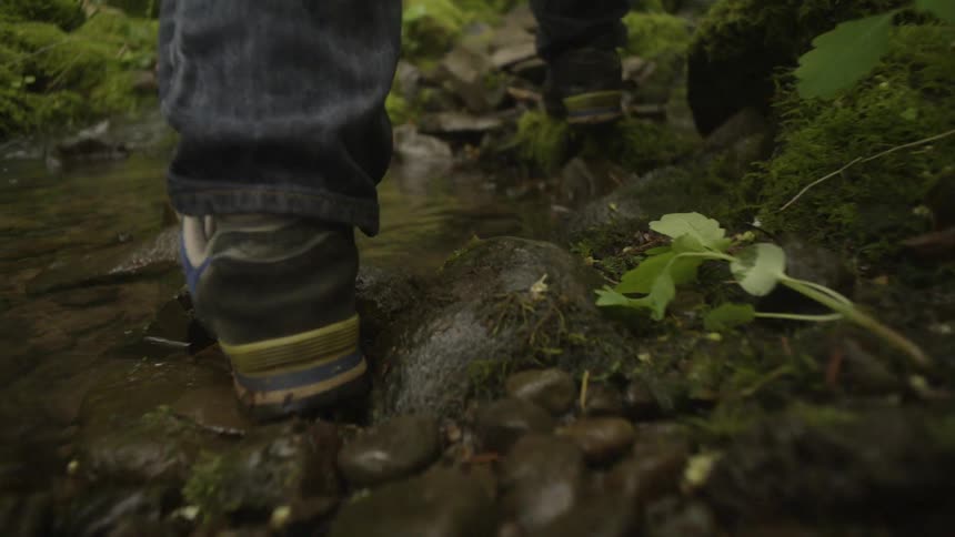 A person walks over rocks in a brook in the forest