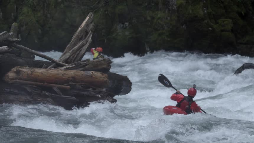 Two whitewater kayakers paddle past a huge jumble or logs and trees as they descend the whitewater river