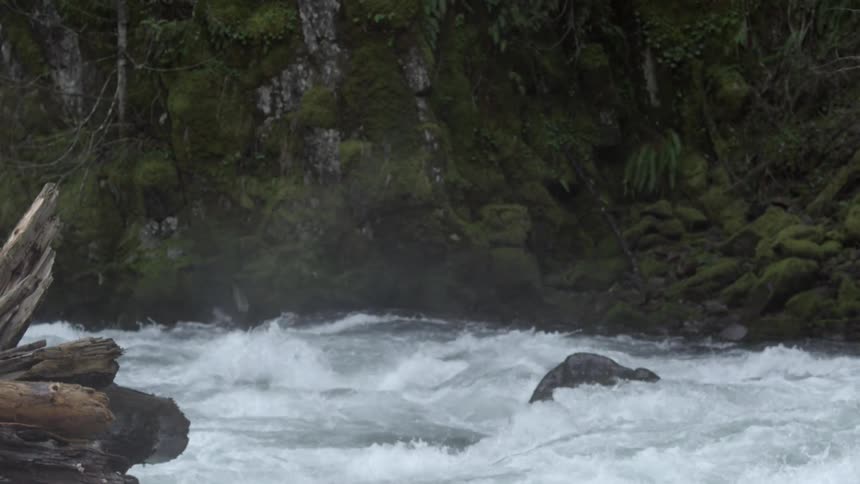 Static shot of mist exploding into the foreground looking across raging whitewater rapids with a moss covered wall in the background