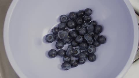 Blueberries drop into a white bowl