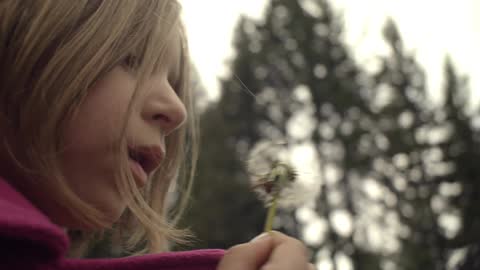 A girl blows on a dandelion