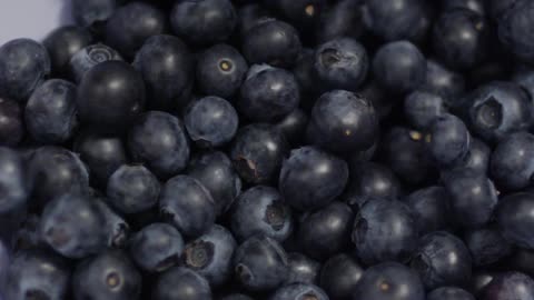 Blueberries fill up a white bowl