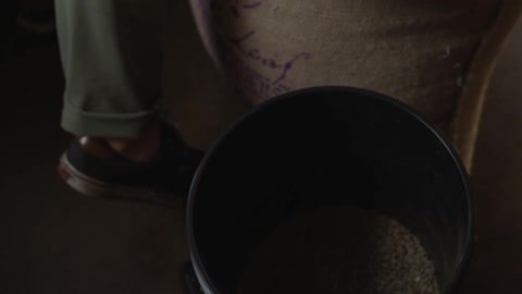 A man scoops coffee beans from a large burlap bag