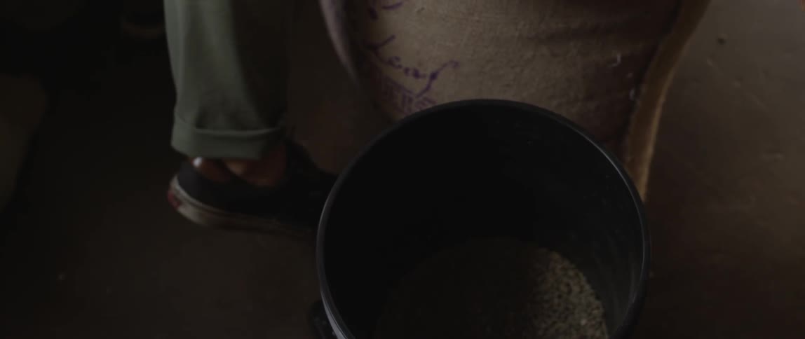 A man scoops coffee beans from a large burlap bag