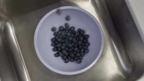 Blueberries fall into a bowl
