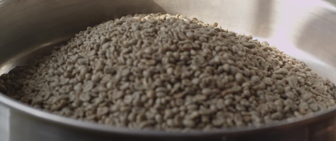 Coffee beans being poured into a bin