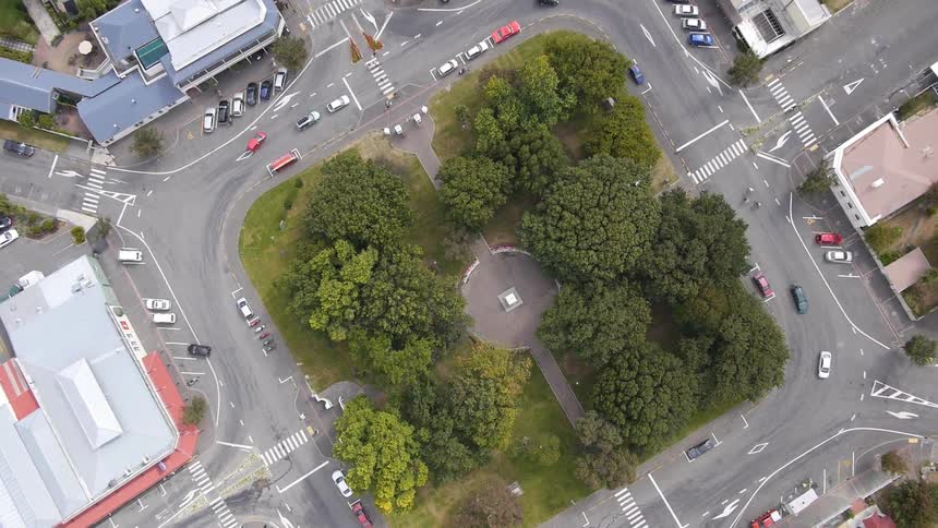 Aerial view of trees and busy city streets