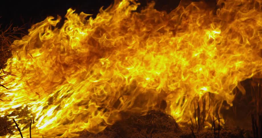Fire burning grass