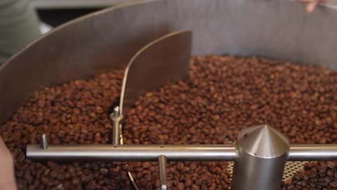 A machine sorts beans while a man watches