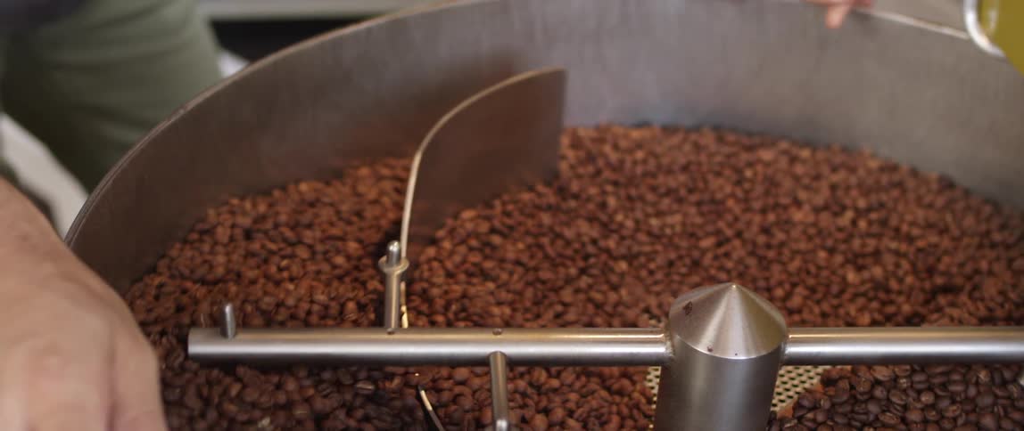 A machine sorts beans while a man watches