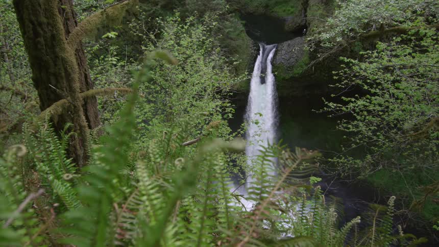 Slow dolly reveal of a massive waterfall (Metlako Falls) deep in the Columbia River Gorge on Eagle Creek before the area was consumed by a wildfire