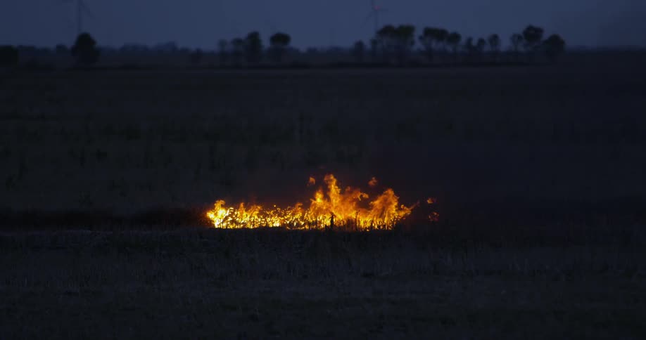 A medium size fire burns in a large field at dusk