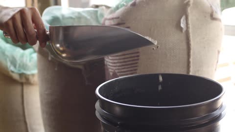 Beans are measured from a bulk bin