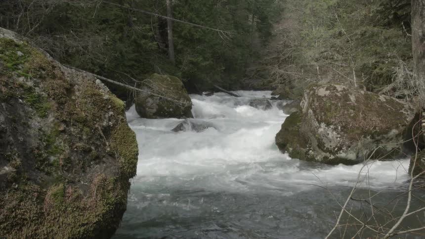 Static shot looking upstream at a rushing whitewater river with moss covered boulders in the foreground