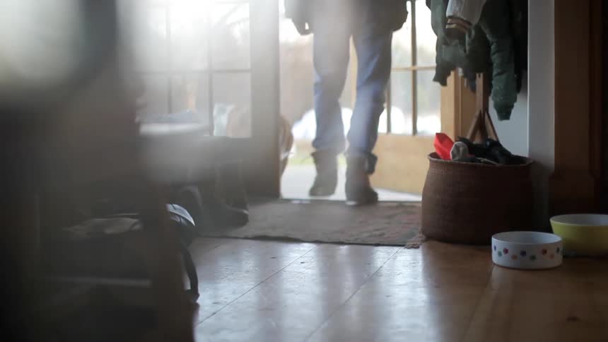 Person and dog open door to go outside