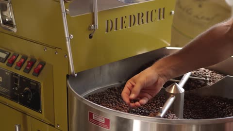 A person checks on coffee beans stirring in a machine