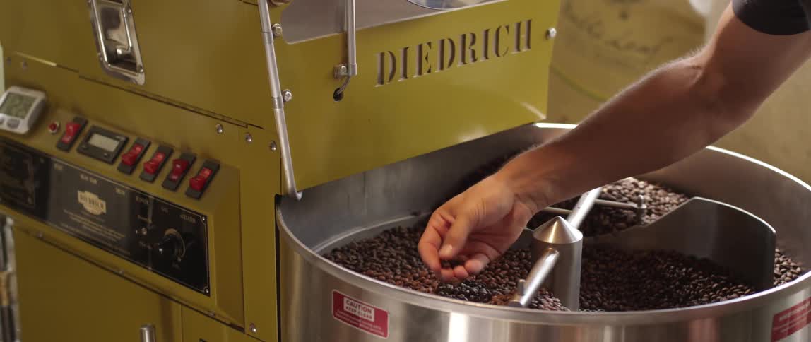 A person checks on coffee beans stirring in a machine