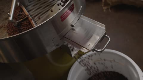A machine sorting coffee beans