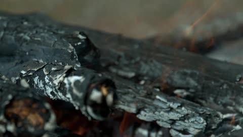 A log is on fire