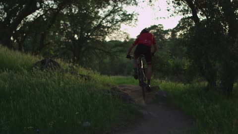 A man rides his mountain bike along a path through green grass and trees