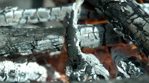 A fire burns wood