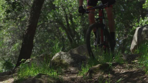A man bicycles down a rocky path in the woods