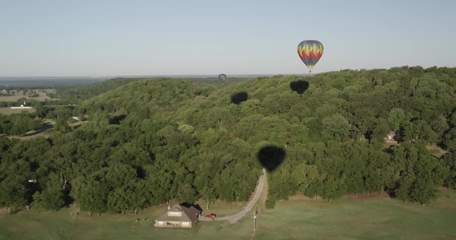 Hot air balloons flying over a wooded area