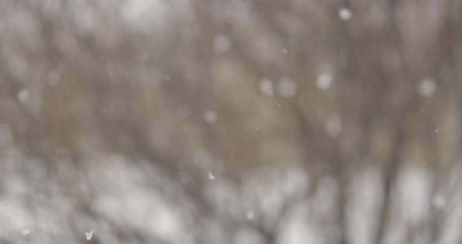 Close up of snowflakes falling outdoors