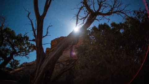 Time-lapse scene in the wilderness