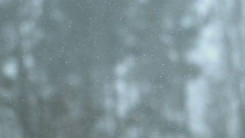 Snow falls from the sky in a forest