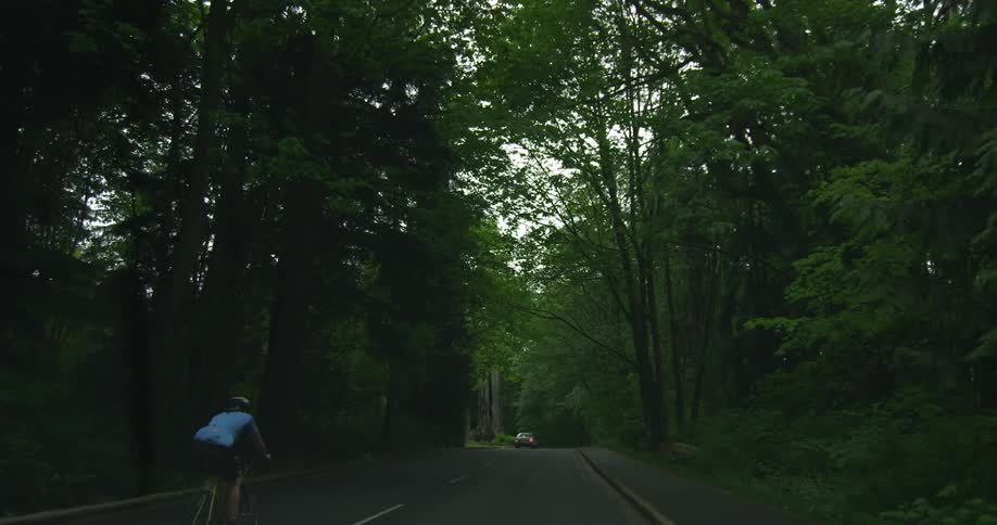A car drives on a forest road