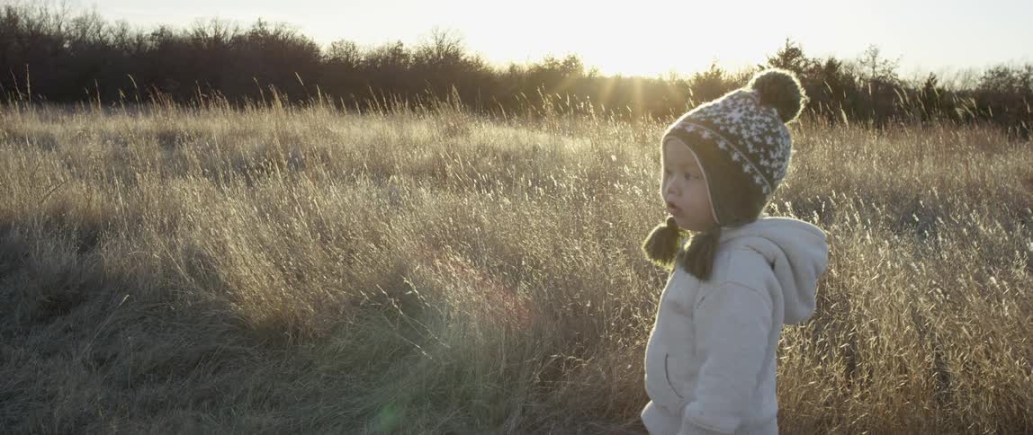 Little boy in a yellow field