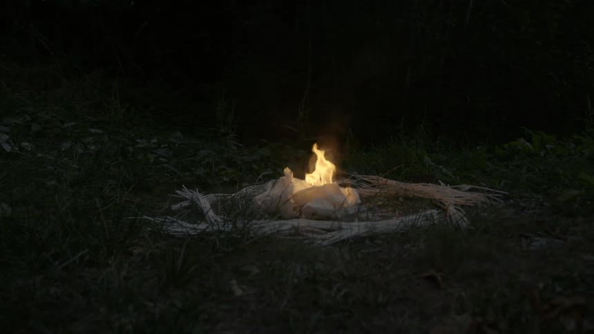 A fire burns in the middle of a grassy area