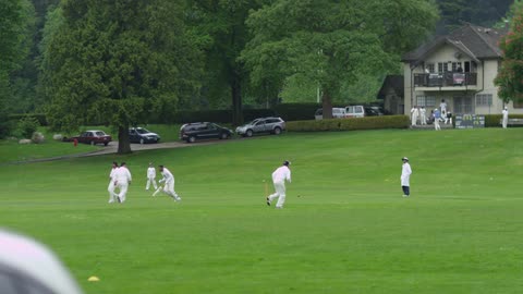 Group of men playing cricket in a green field