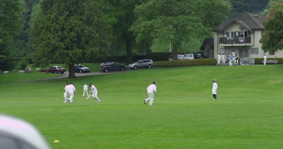 Group of men playing cricket in a green field