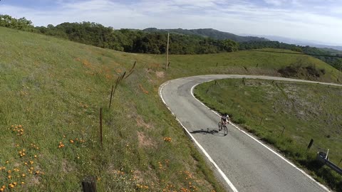 A man is riding his bike around a windy stretch of road on a summer's day