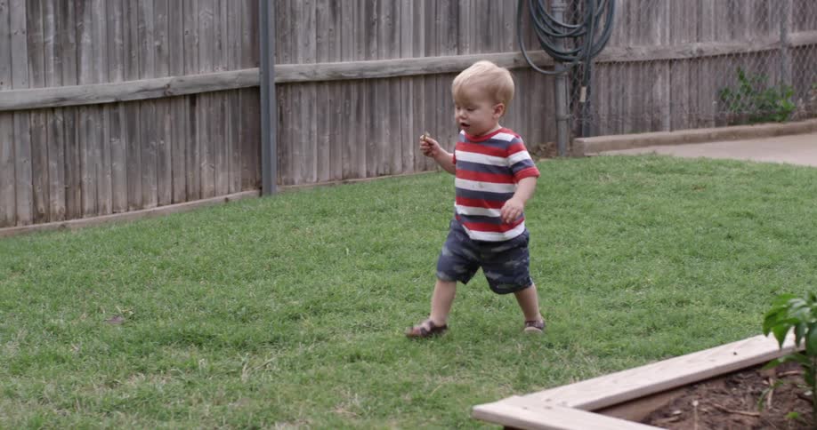 Toddler boy running on the green grass in a backyard