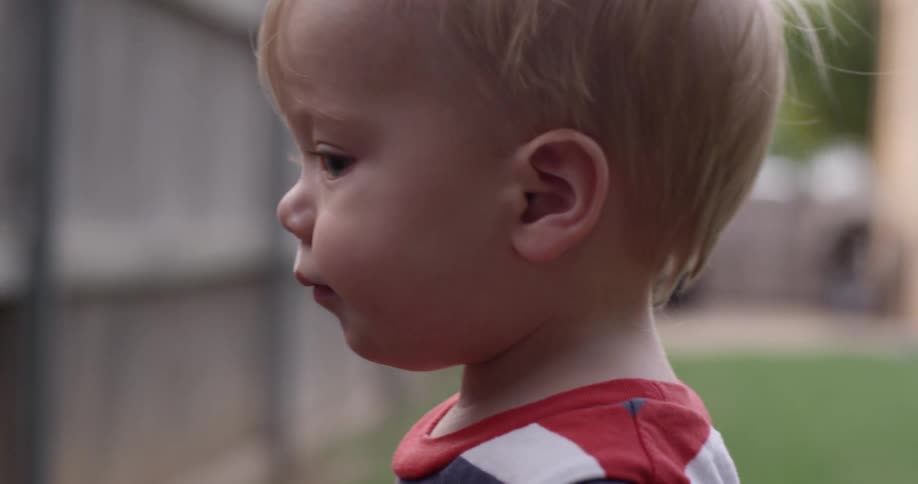 Toddler wanders around a lawn near a wooden fence
