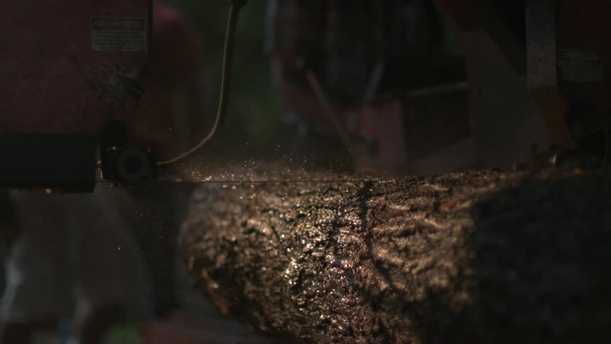 A saw cutting wood