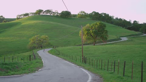 A person is riding their bicycle down a winding road set in a sprawling green field