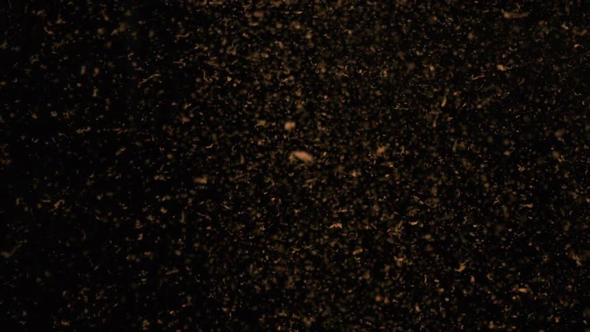 Yellow flakes falling from the sky