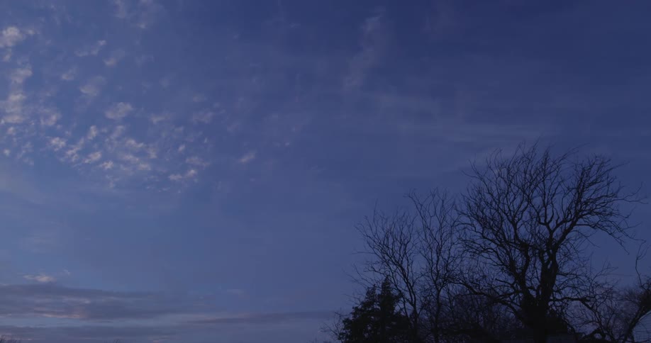 A view of the skies and a few trees as thin, wispy clouds blow by