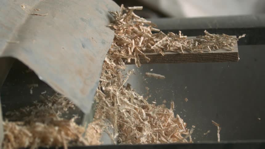 Bis of wood and sawdust