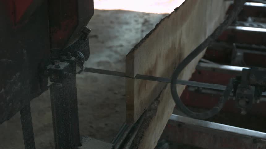 Plank being cut by a motorized saw