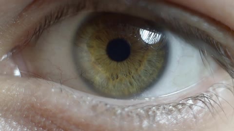 A persons eye dilates