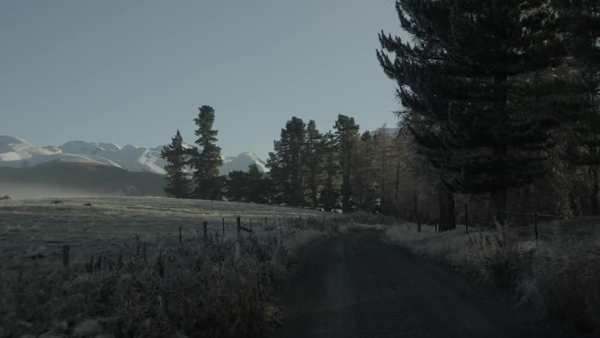 View of a winding country road surrounded by pine trees, fields and snow-capped mountains