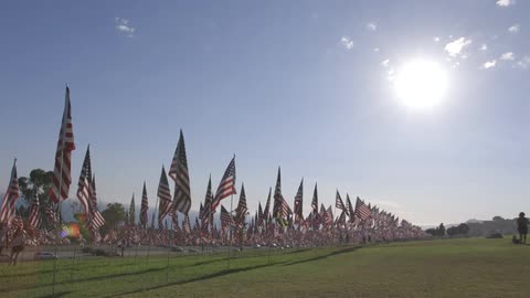 A group of american flags billow in the sunlight