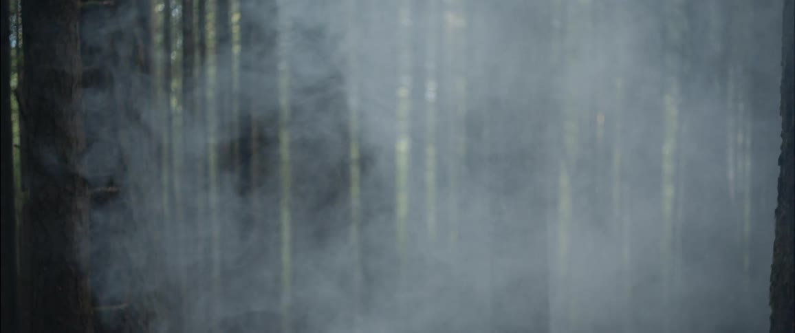 Smoke billows in a forest
